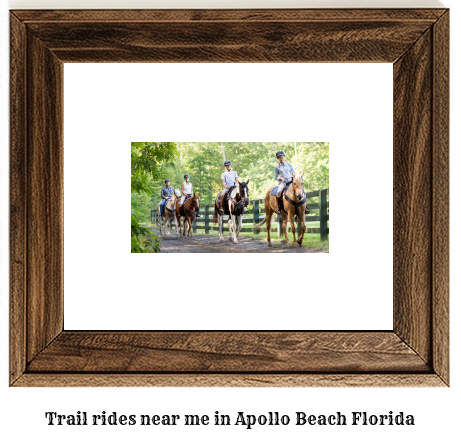 trail rides near me in Apollo Beach, Florida